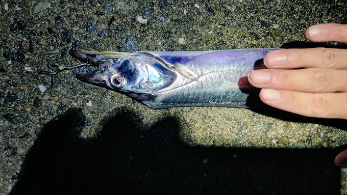 F3ใตใคใบ