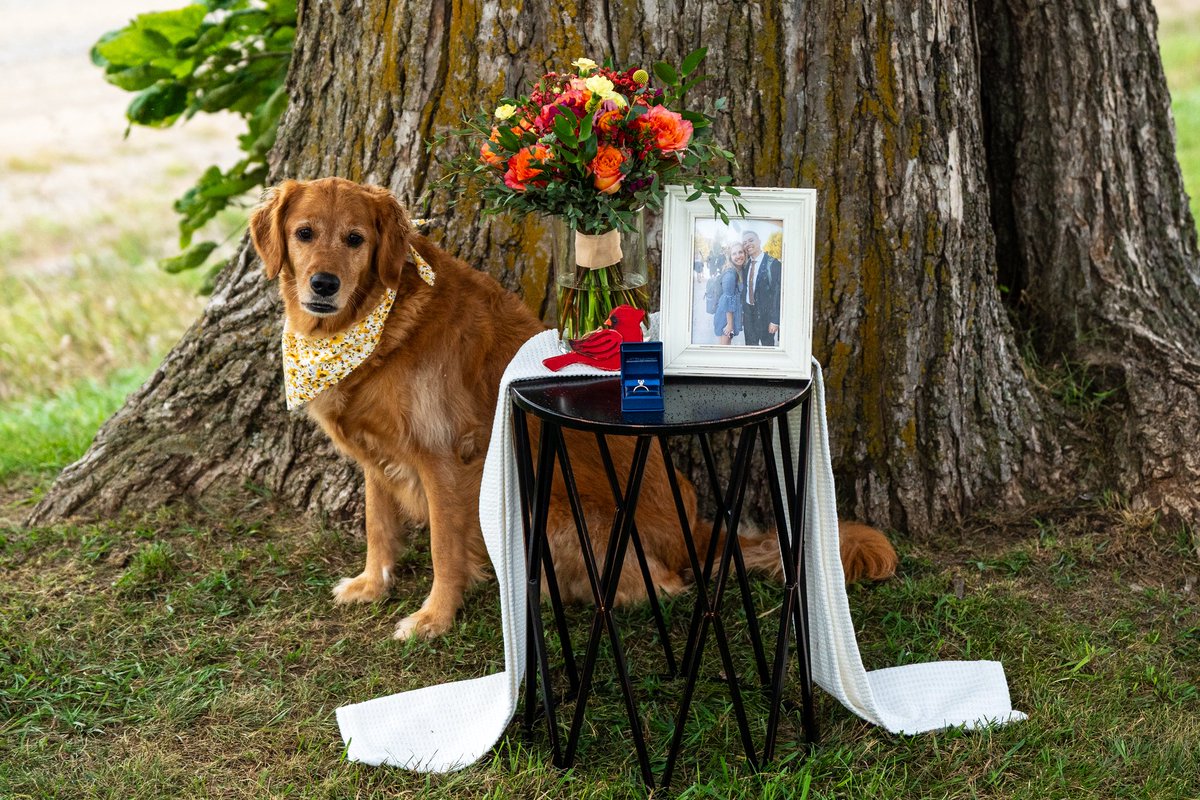 Austin Jacobsen tweet media