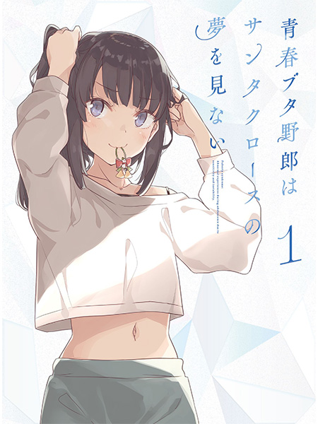 限定 レア 希少 青ブタ 全巻購入特典 ━━━━━━━━━ 青春ブタ野郎はサンタクロースの夢を見ない Blu
