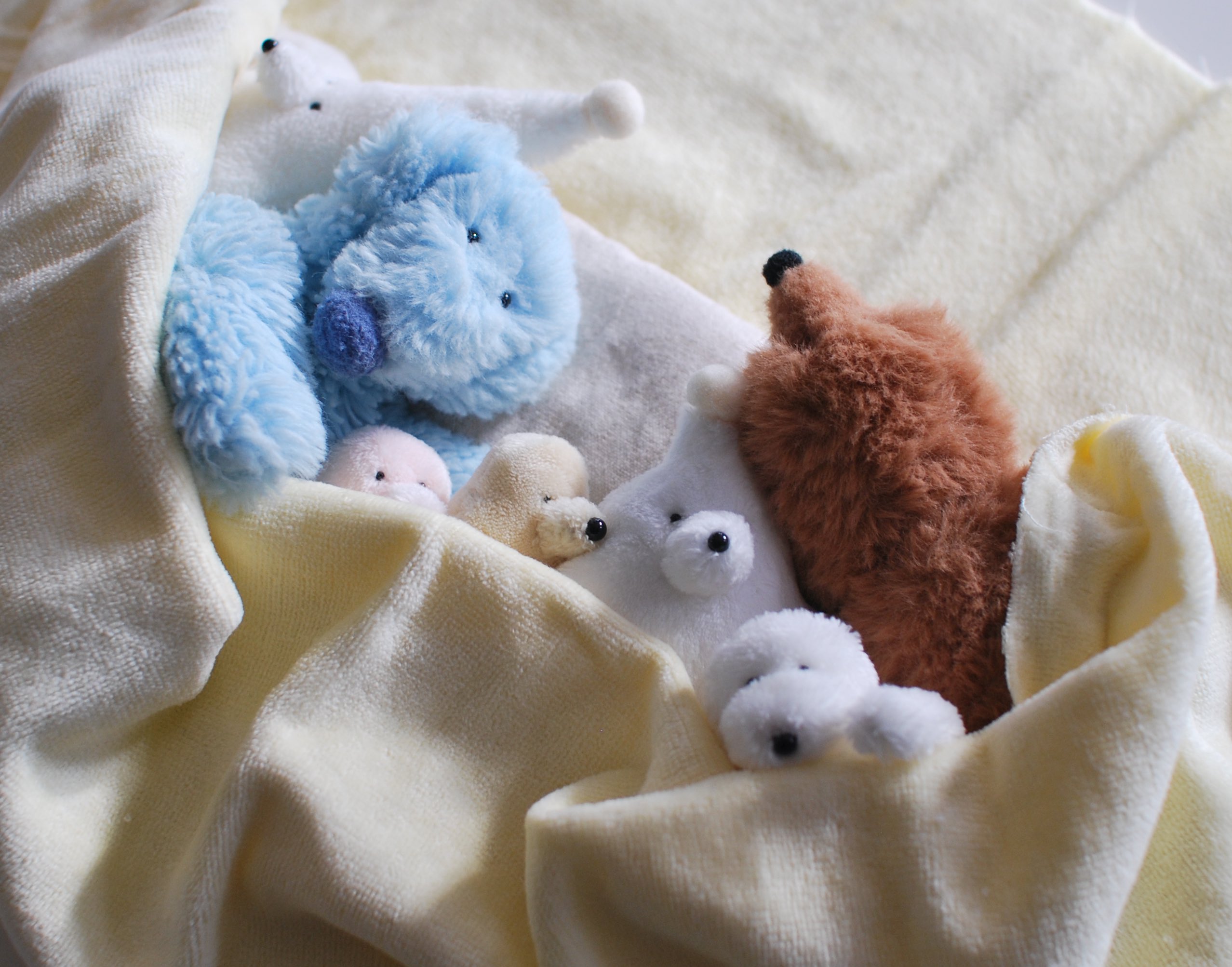 Instagram ゲーム・おもちゃ・グッズ 抽選当選品 たまもの 空想