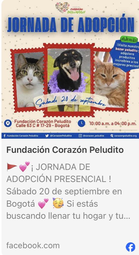 Mariaisa1990's tweet image. 🐶🐱🫶🏻