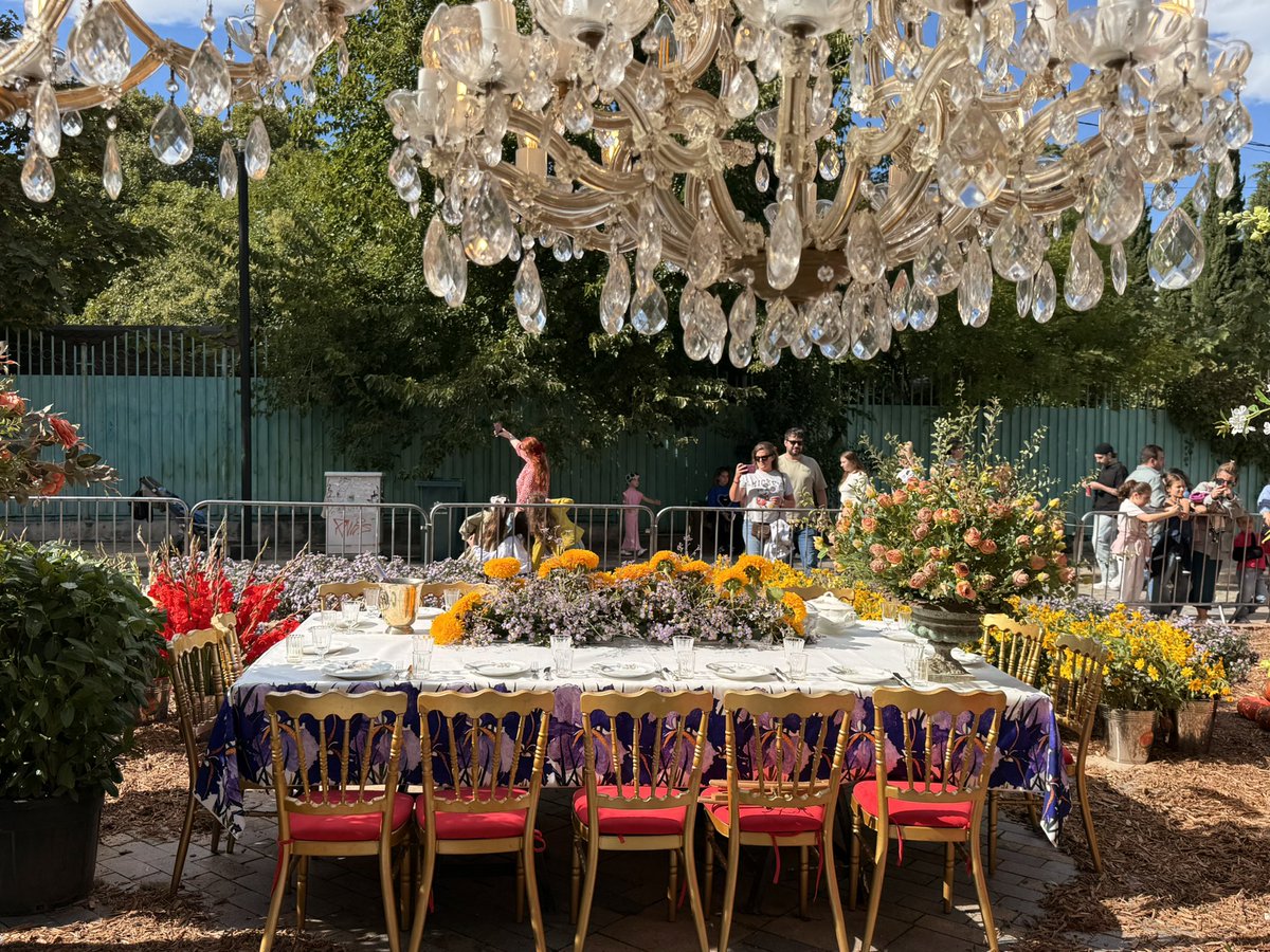 Tbilisoba 2025 ☀️🎈🚠