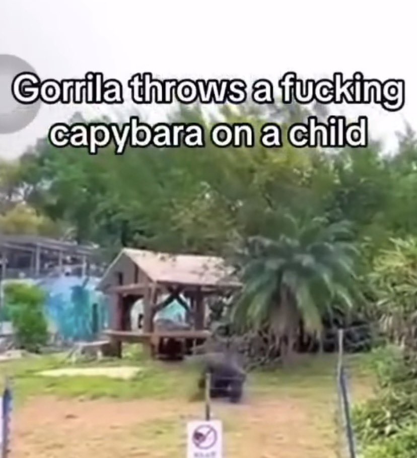 So I can finally interact we fellow agency owners, while keeping the access to these?

A dream.