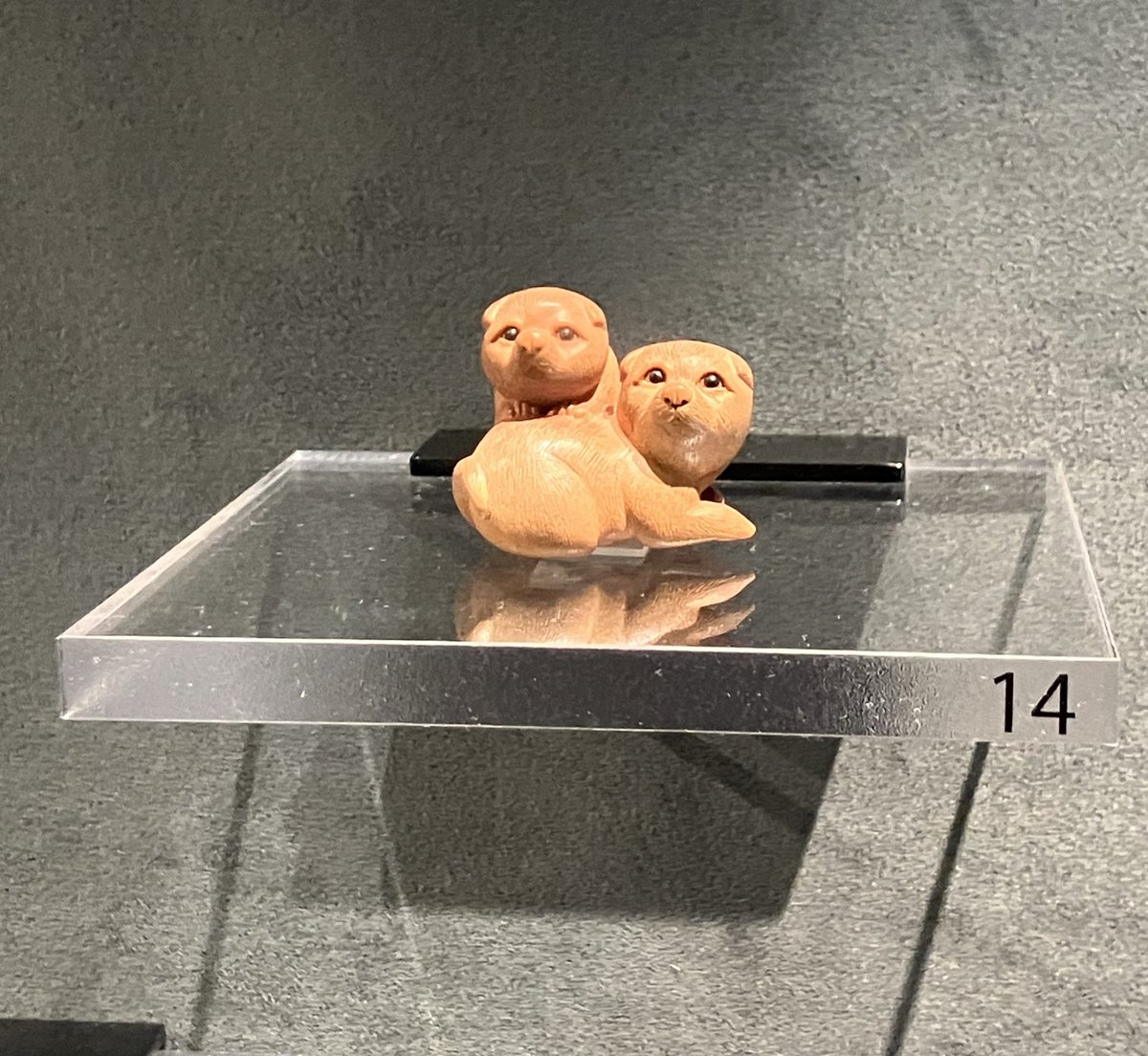 天然素材 根付　5まとめ Yahoo!オークション - 根付 Netsuke 提げ物 貴重な本物天然素材