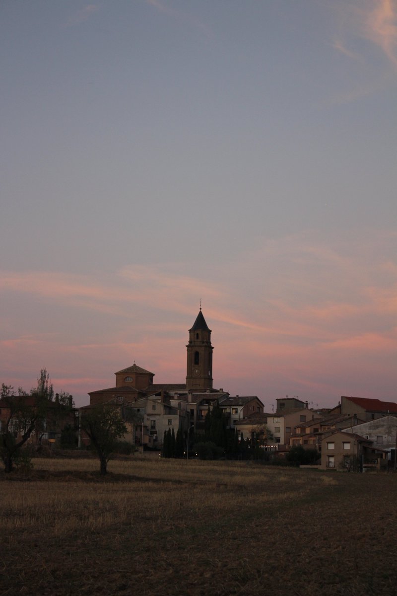 pablo ⛅ tweet media