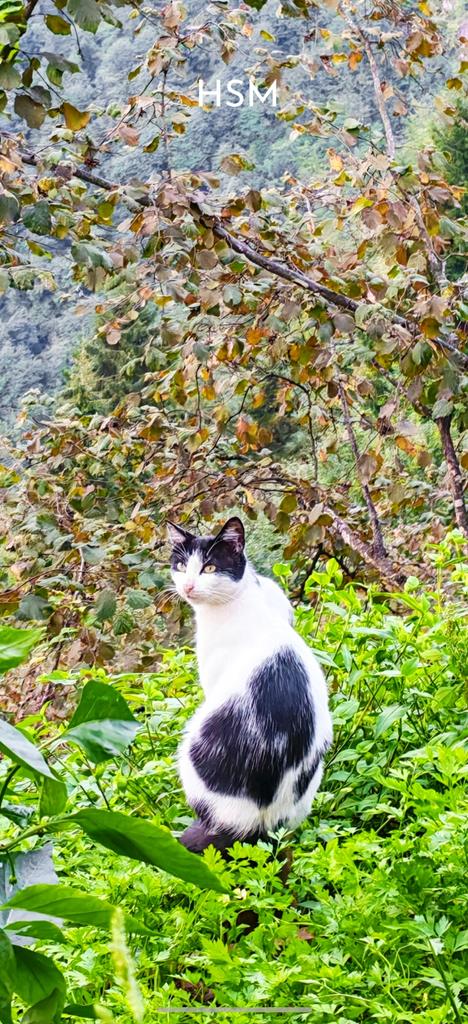 حامد المطيري (@ofbaaa) on Twitter photo 