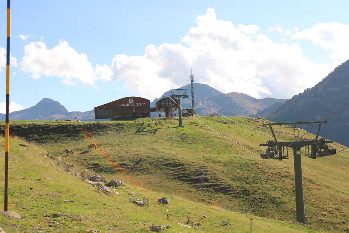 pablo ⛅ tweet media