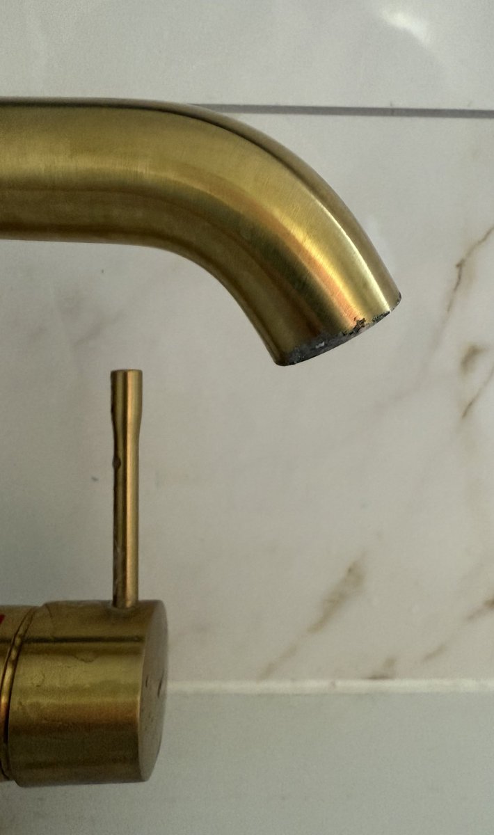 Carlie Bonavia tweet media