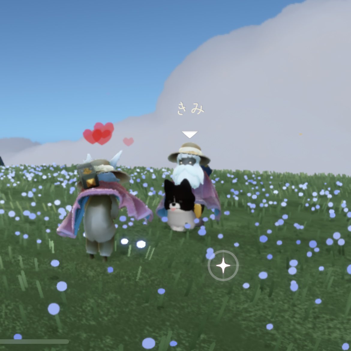 今日のわんころは大人しかった🐕🐾