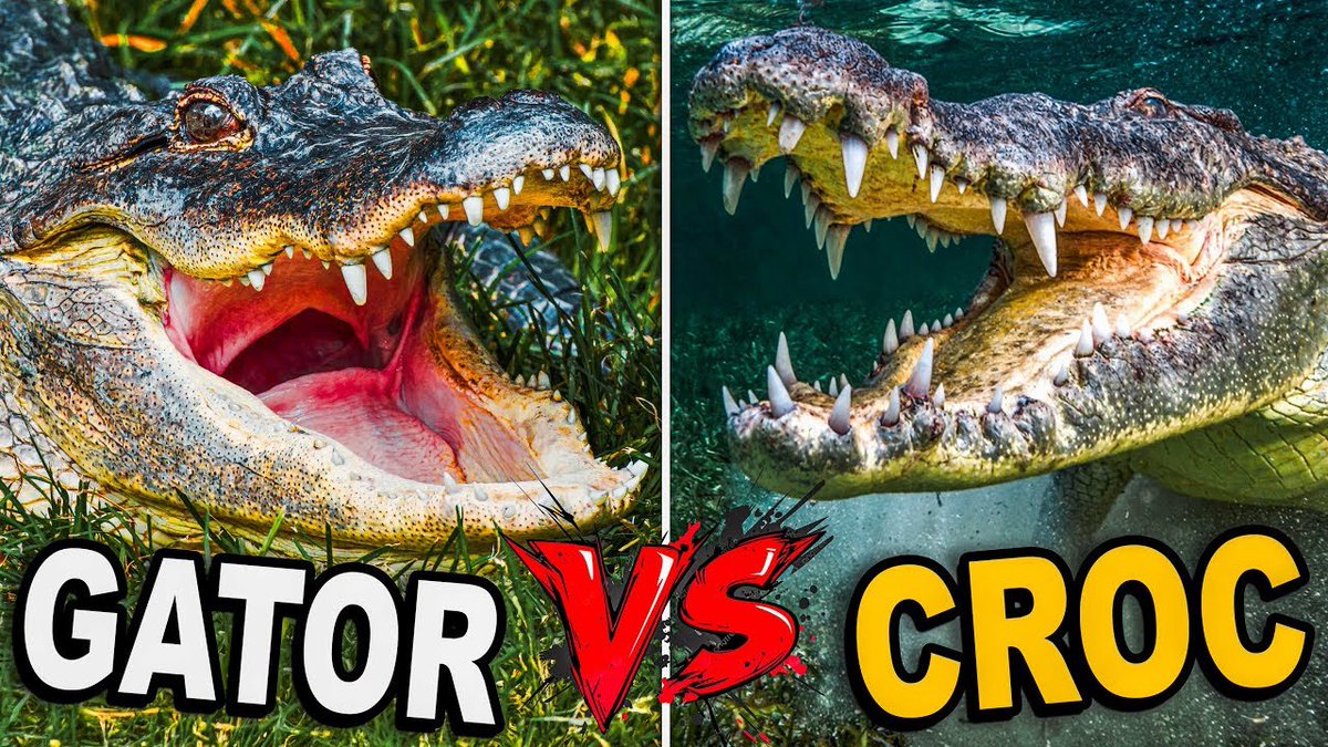 NEW VIDEO
➡️ youtu.be/xslRd6QvDp4?fe…