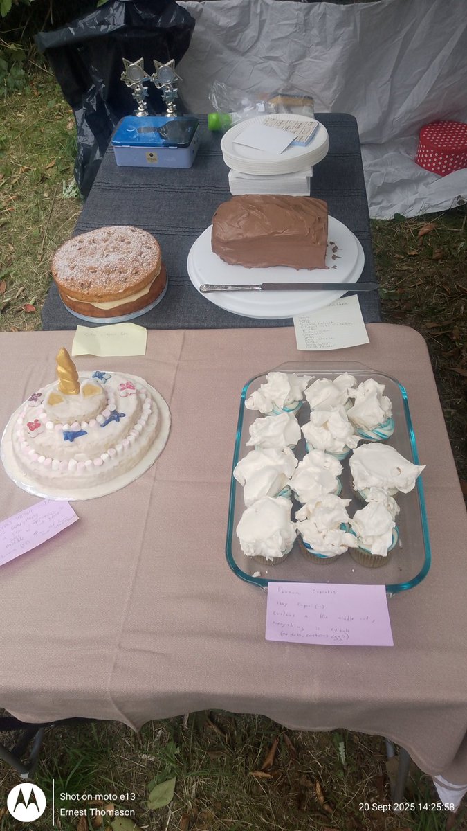 GarthorneroadNR's tweet image. Come and see the wonderful baked cakes at Garthorne Road Nature Reserve Bake-Off which we are ope until 5pm