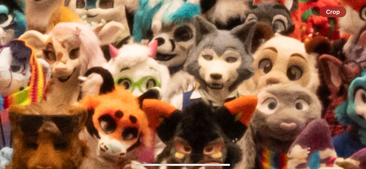 differmitt's tweet image. So many insanely cool fursuits at megaplex this year.🤩 I love these group photos bc I can just scroll through and look them all.