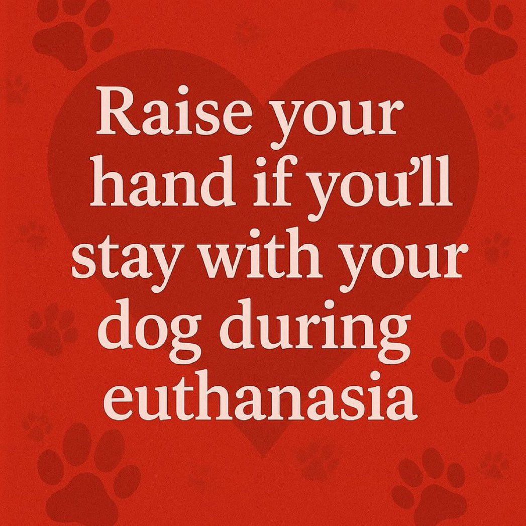 ✋