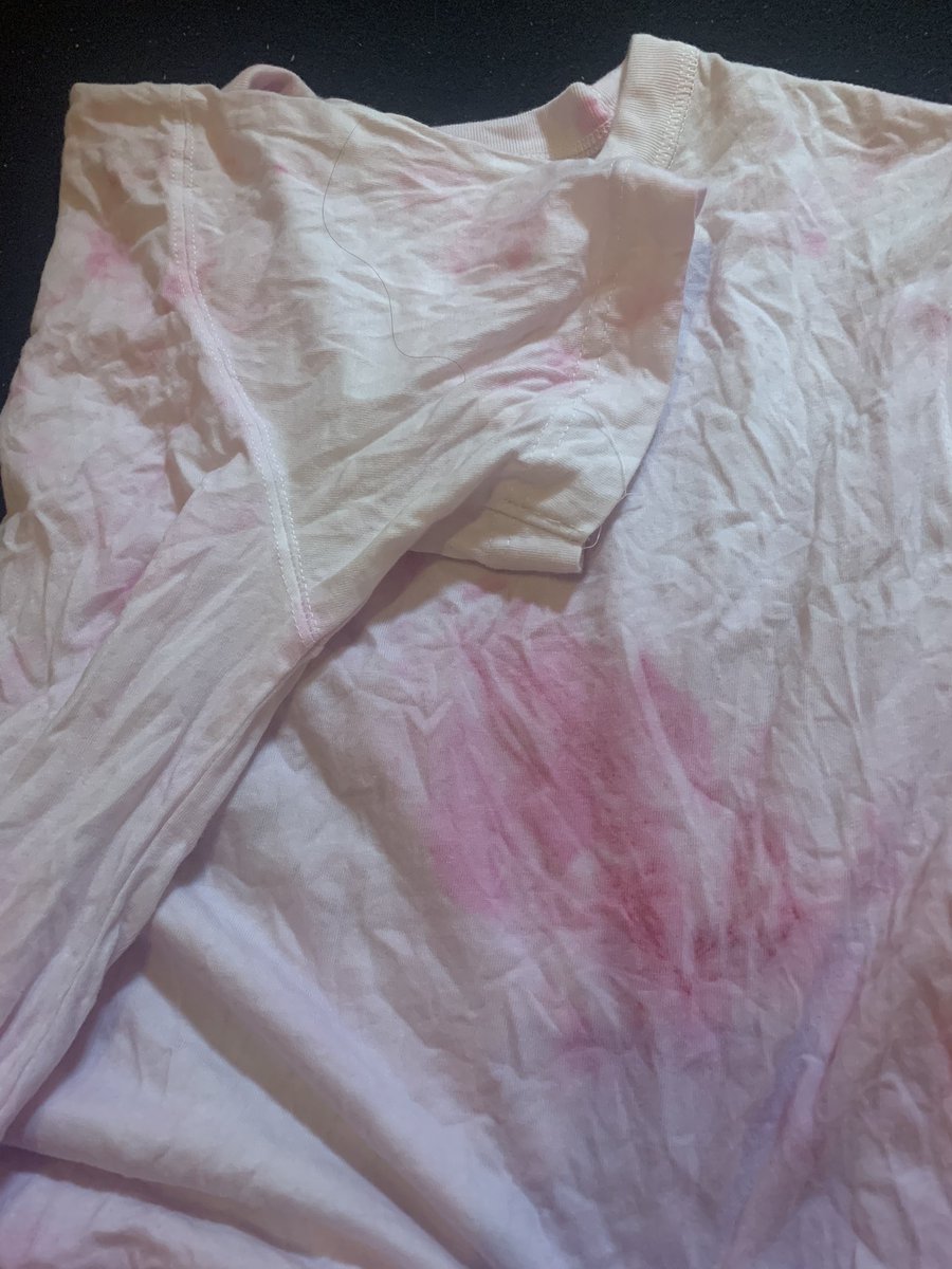 西郷みなこ 【無所属左京区】 tweet media