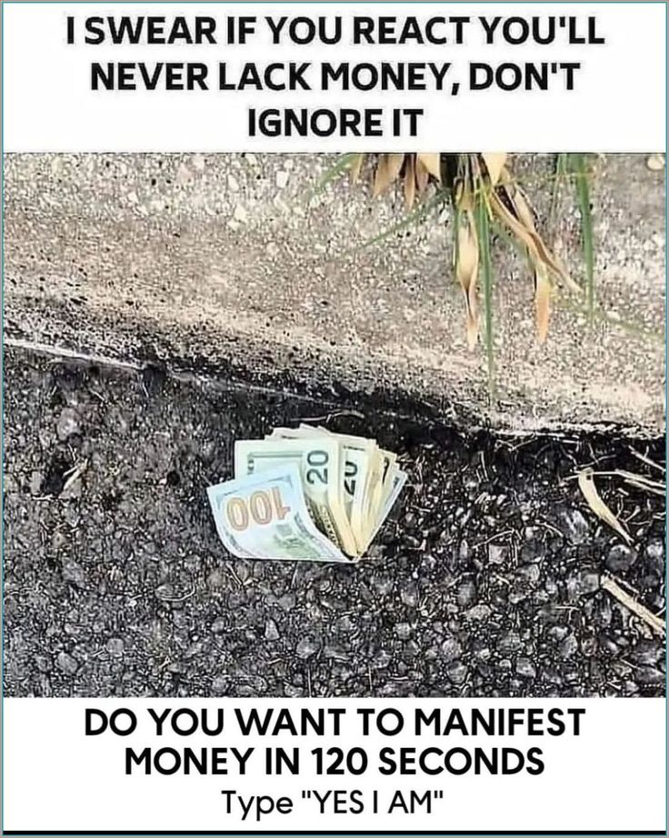 Wealthy Vibes Only tweet media