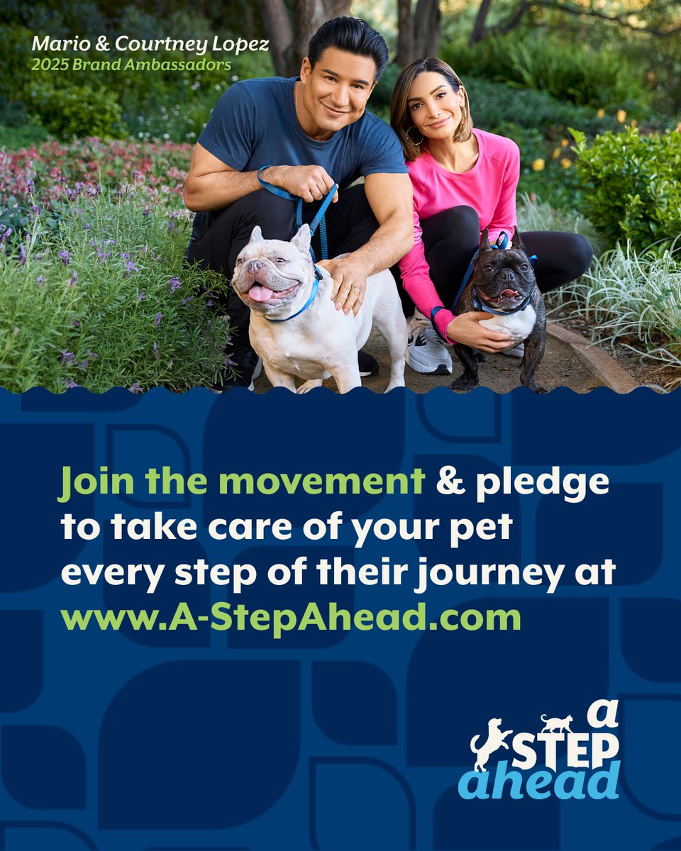 Life is a journey, not a destination. The same goes for our pets' health and wellness. 🩺🐾

Although we can't predict their future, we can offer them vet-formulated support here and now, bolstering their health and well-being for the days, months, or years to come.

Stay