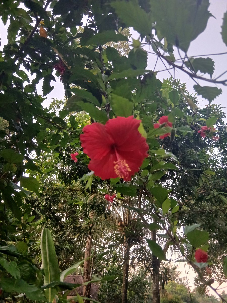 nayanika🌱---👖 tweet media