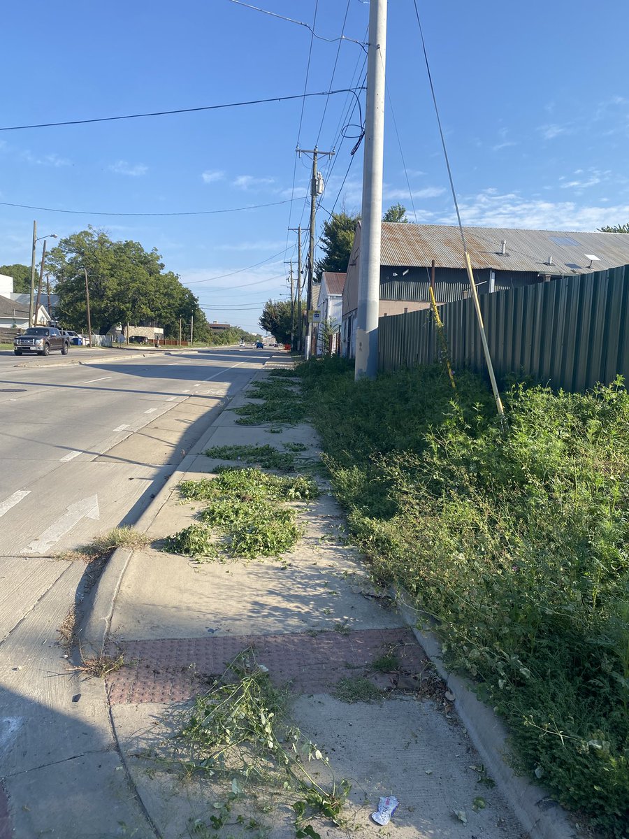 Victory_Turf's tweet image. Saturday is for wildflower bed maintenance at the shop