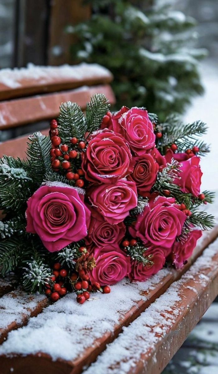 Xylonature (@xylonature) on Twitter photo 