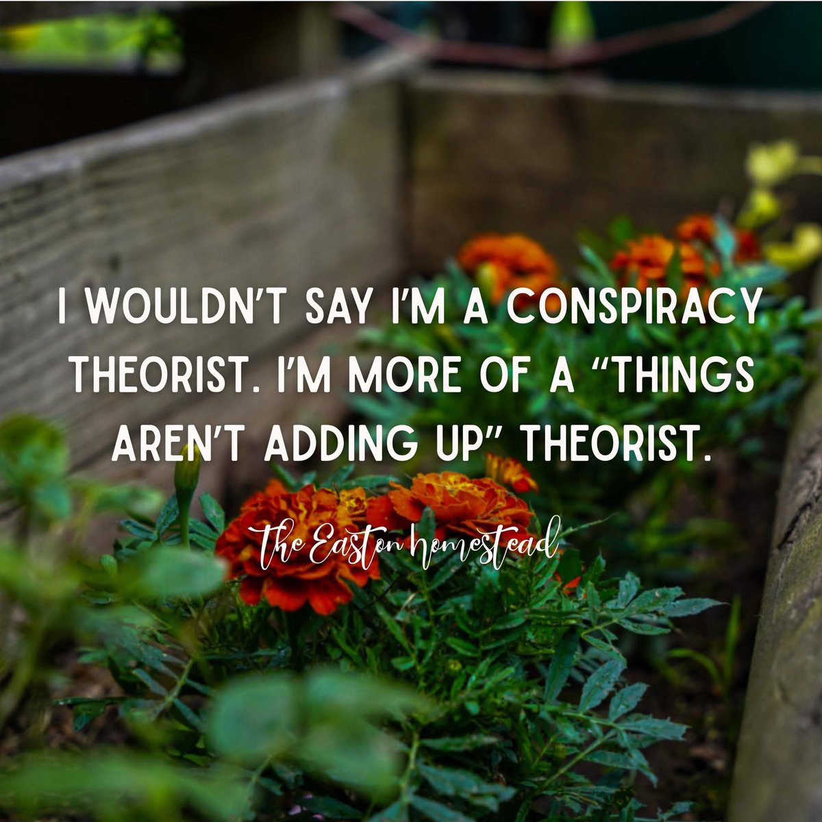 Victoria59L's tweet image. Who’s with me on this one?⬇️