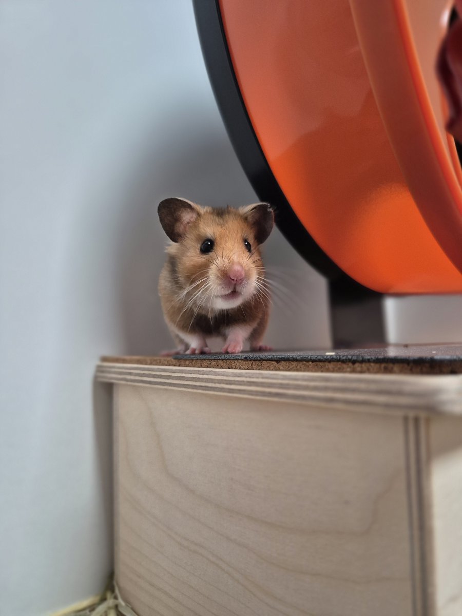 용용이네 🍑 (@ucamemeee) on Twitter photo 