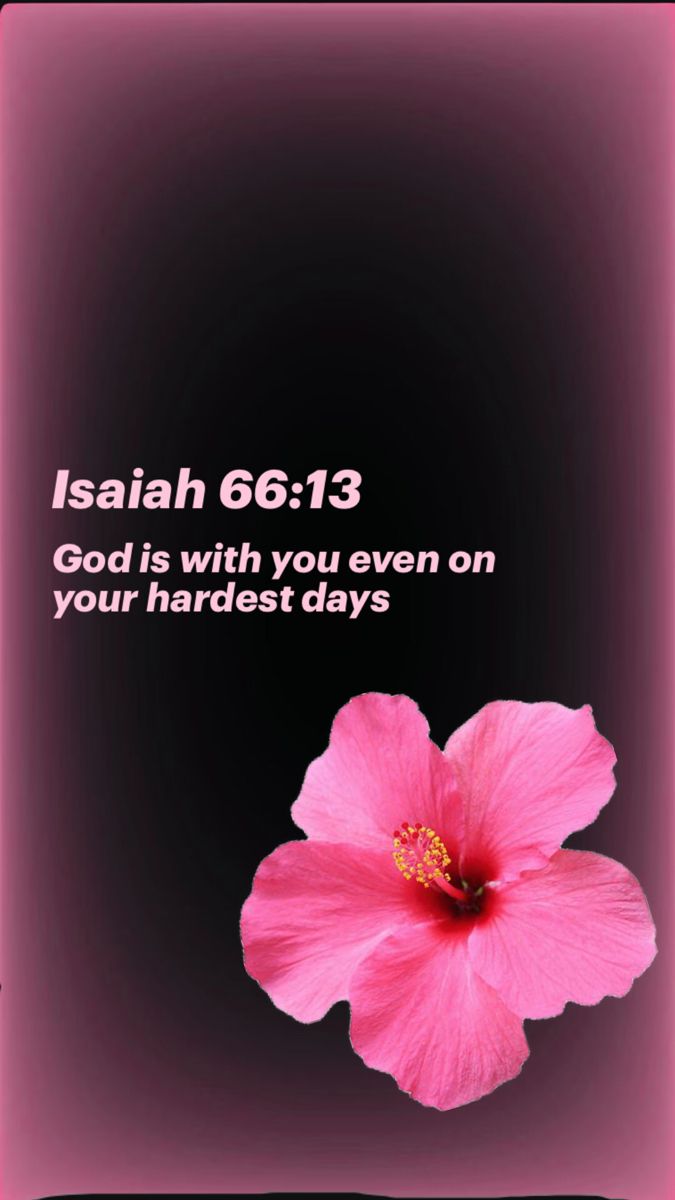 Pearl ✨ tweet media