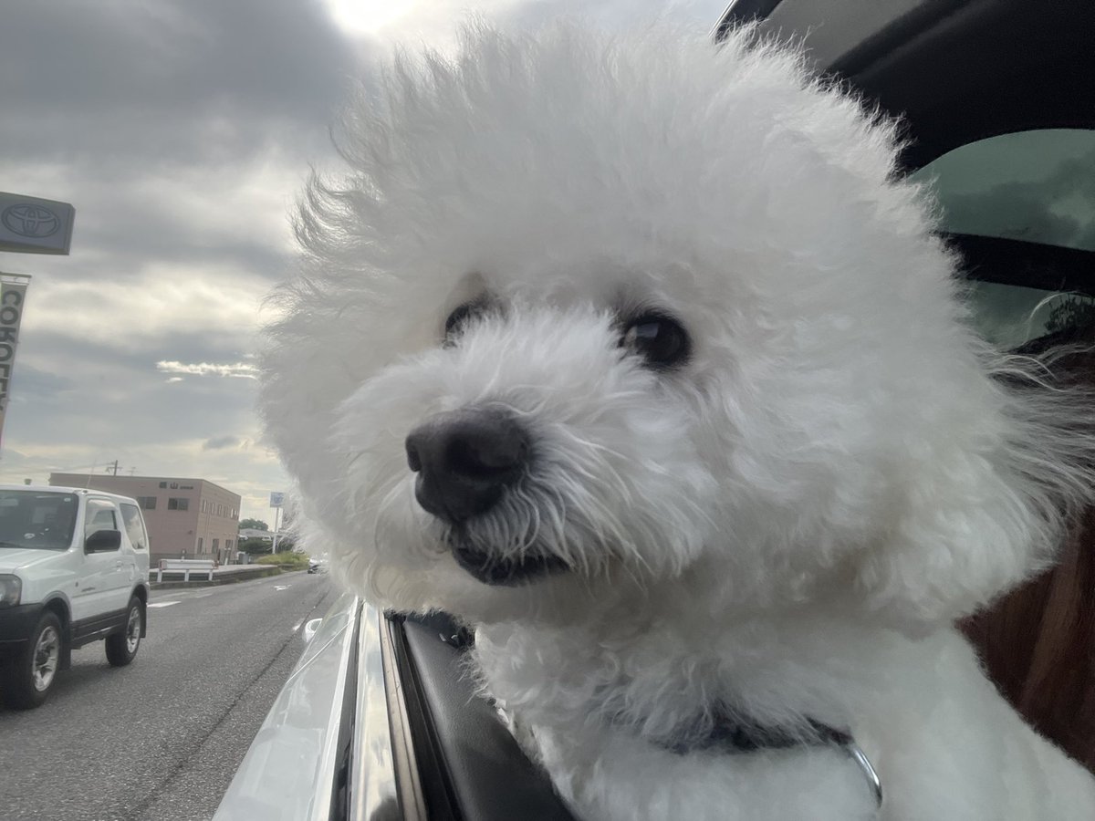 ベストタップ写真everかも