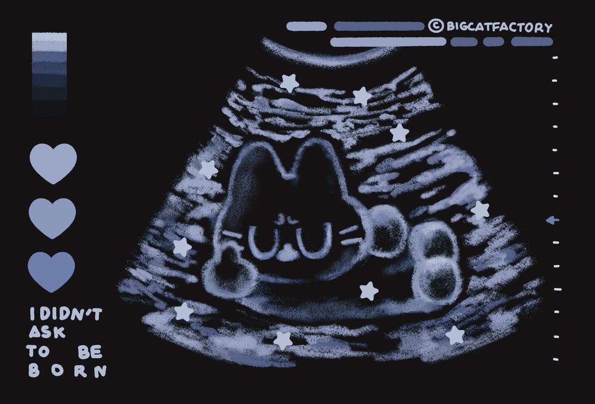 ִ ࣪𖤐 🐈‍⬛Bigcat🍎ปั่นงาน tweet media