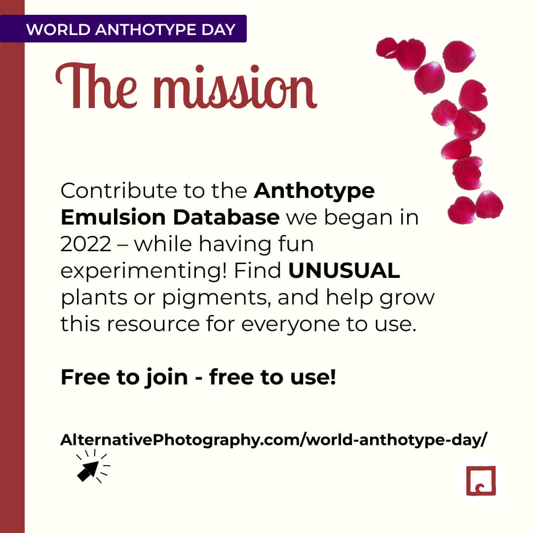 alternativephot's tweet image. World Anthotype Day is still open for entries until 25 October 2025!
World Anthotype Day is about experimenting with different emulsions, finding new ones and co-lab to make the database of emulsions HUGE. How to enter:
👉 alternativephotography.com/world-anthotyp…

#anthotypes #worldanthotypeday
