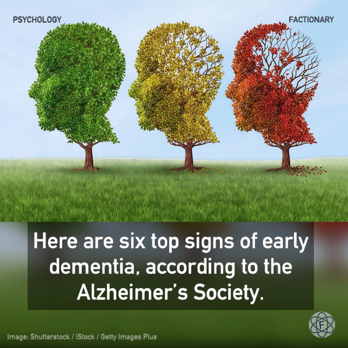 TFactionary's tweet image. Here are six top signs of early dementia, according to the Alzheimer’s Society.

Read more on The Factionary. Link 🔗 below.

#psychology #creatorsearchinsights #dementia #alzheimers #mentalhealth #neurology #neuroscience #facts #Factionary