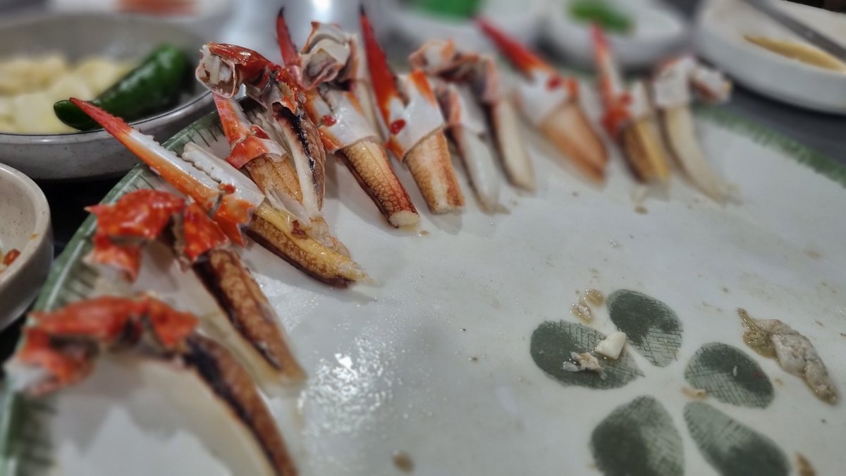 포비커플 tweet media