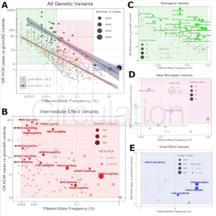 Ahmad Masri tweet media