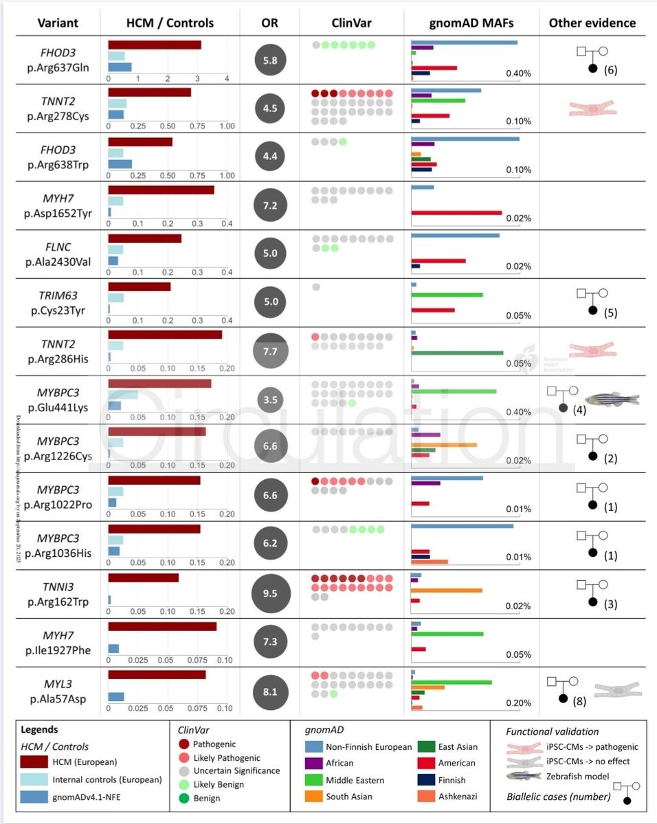 Ahmad Masri tweet media