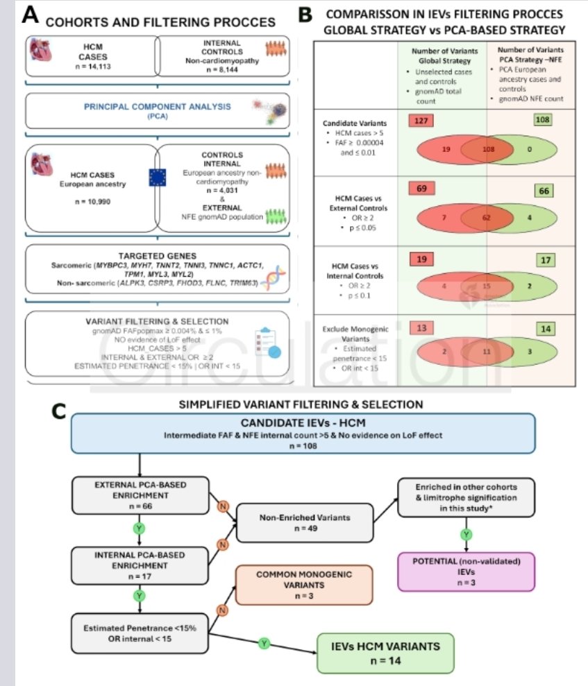Ahmad Masri tweet media