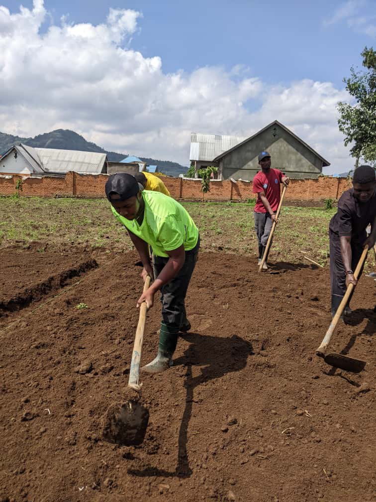 RwandaCSSA's tweet image. This morning the @RwandaCSSA community participated  in Getting  Agricultural Season Early practices on the Farm.

#WeForChange #WeAreRCSSA #WeAreAgriPeak @agripeak1