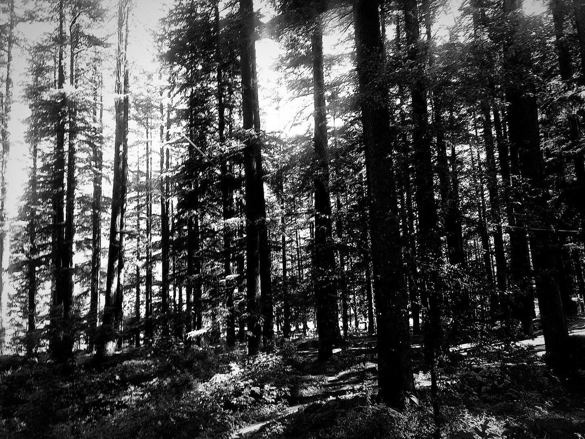 lost