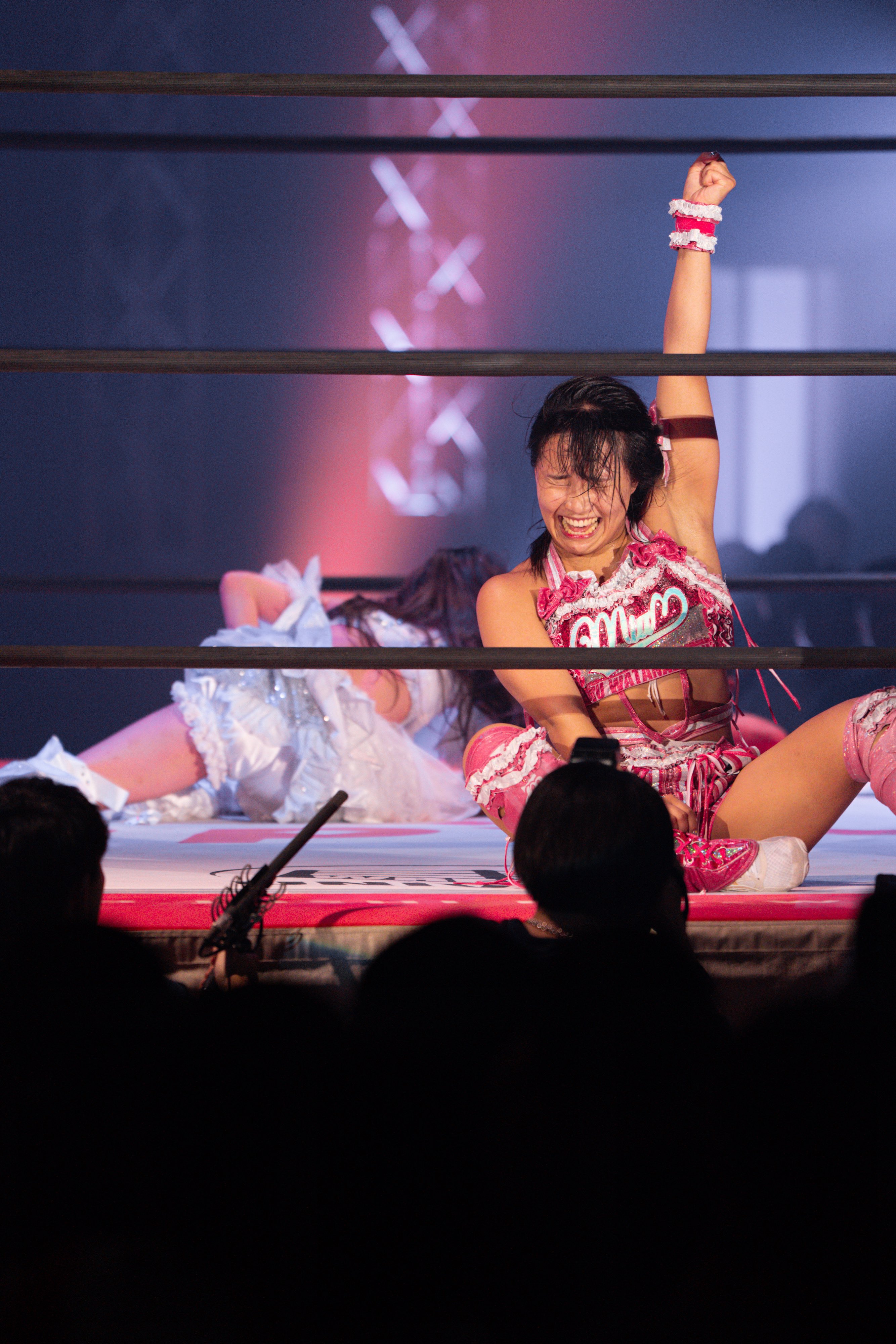 精霊のささやき('87エクゼ/渡辺プロ) Light Novel Volume 4 | Shinja Zero no Megami-sama to