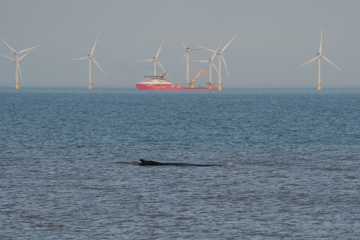 Luke Stoppard tweet media