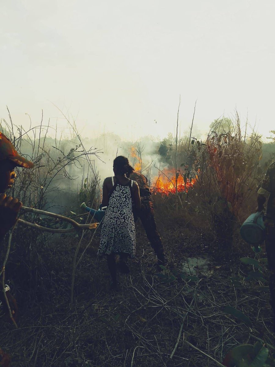 🔥 16 sept : Incendie à Ambararatakely (Maintirano) maîtrisé grâce au #FIP, #DREDDMelaky &amp; fokonolona. 
🌱 5 ha, dont des plantations, touchés. ⚠️ Feu agricole en cause. Mobilisons-nous : stop aux brûlis en saison sèche ! ⛔🔥 

#AdyAminnyAfo #MEDD