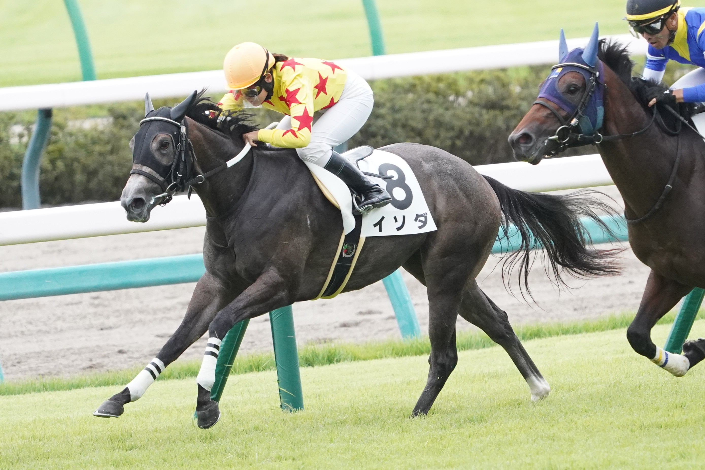 サンタの競馬　ゴールドシップ　デュラメンテ サンタの競馬 ゴールドシップ デュラメンテ サンタの競馬