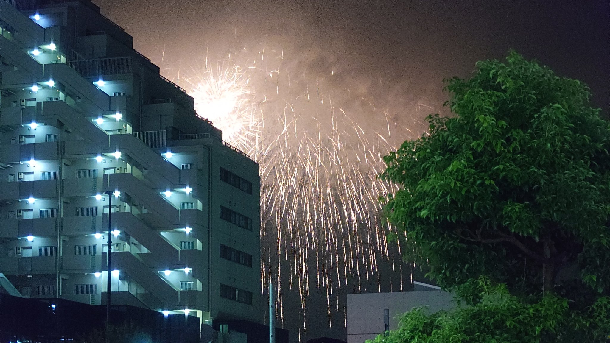 ニャン太 SHOEI Z-8 FEARLESS(フィアレス)入荷しました‼️ BK/GD(マット