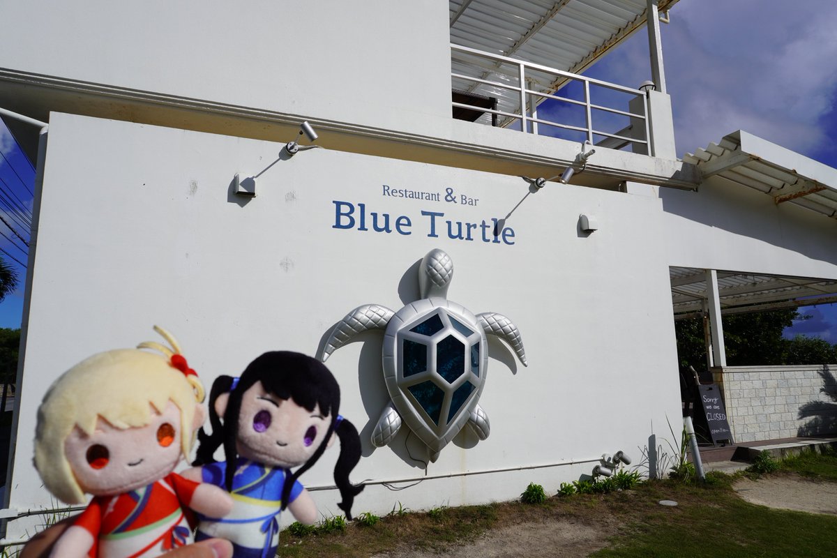 a_r3_00's tweet photo. 念願のBlue Turtle 行ってきた!!
最高でしたね…🫰🏻 https://t.co/sWsD1Wj4PA
