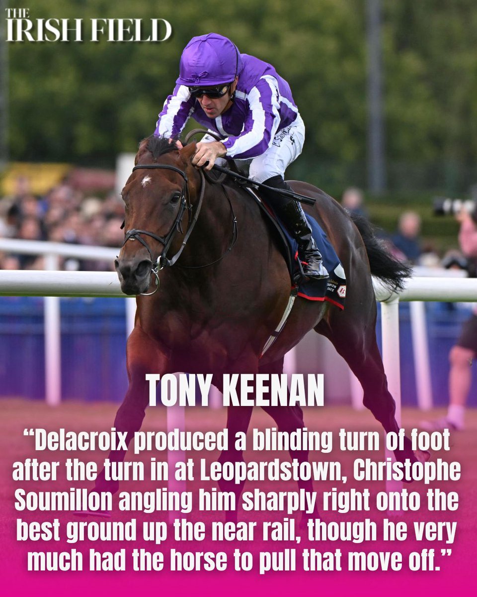 This weekend in The Irish Field, Tony Keenan discusses the top-class racing that was on offer at last weekend's Irish Champions Festival <a href="/RacingTrends/">Tony Keenan</a> 
eu1.hubs.ly/H0nbY6D0