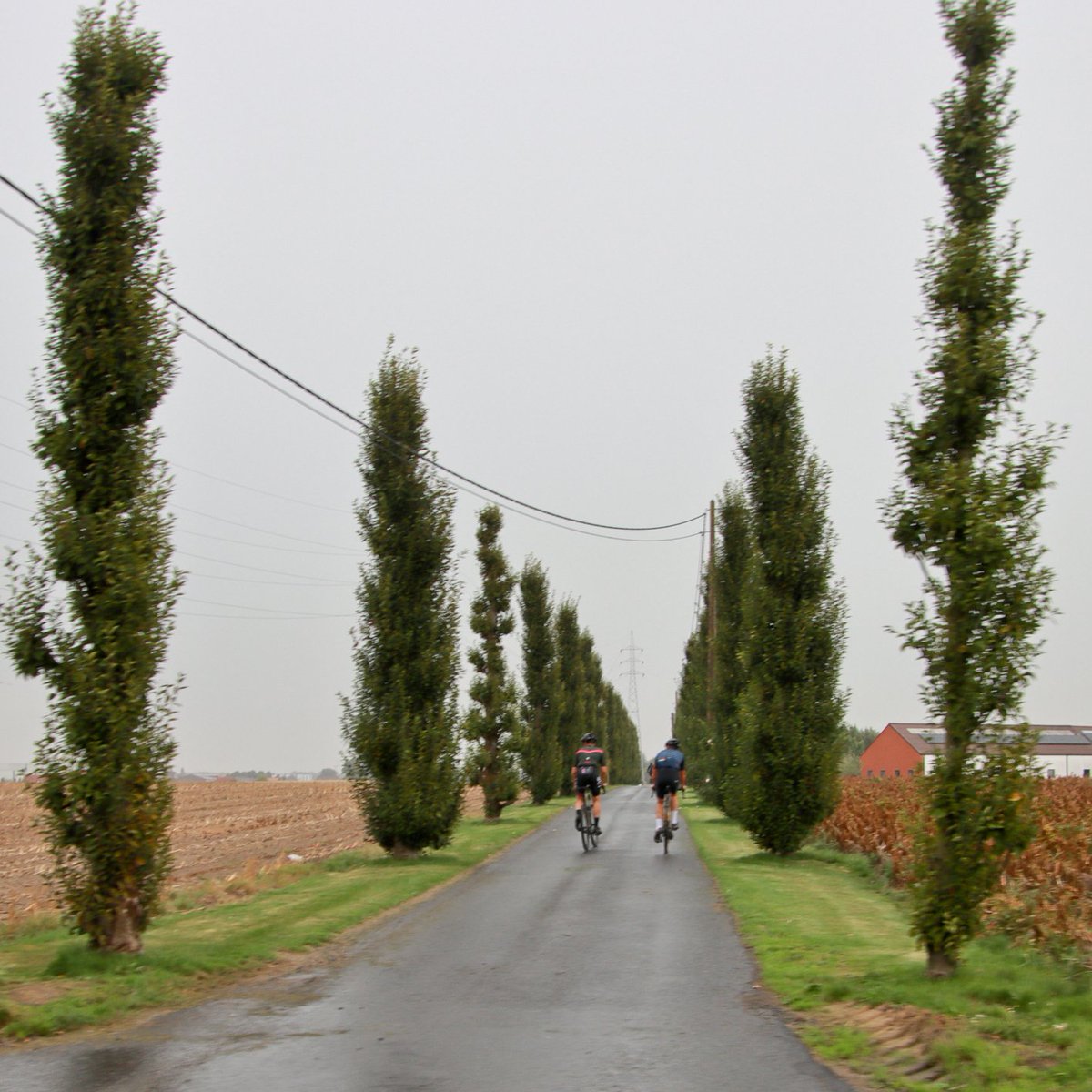 #vrtweer Luc Lambert 11u24 Ardooie wolken en zon wind  ZZW 21°