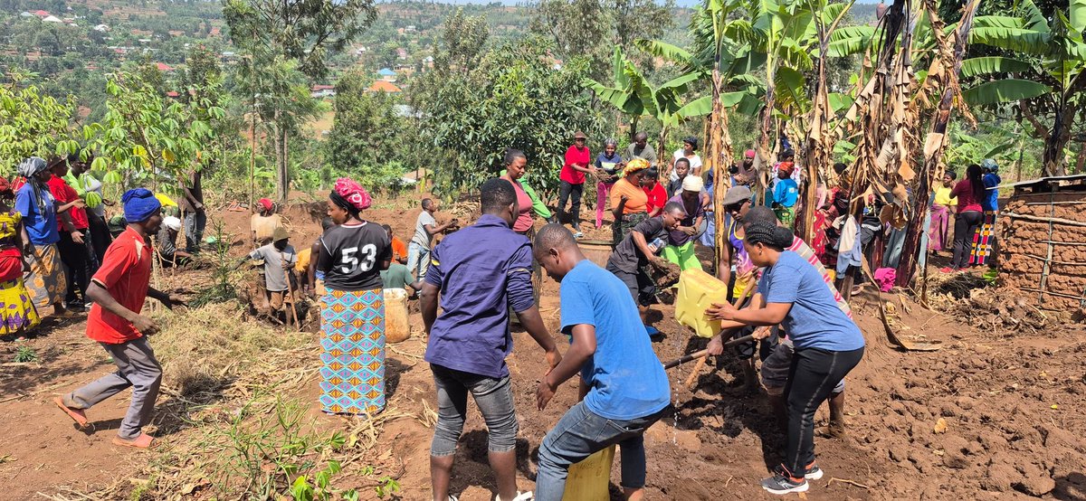 GisagaraDistr's tweet photo. Kuri uyu wa 20 Nzeri 2025, mu Mirenge yose igize Akarere ka @Gisagara hakozwe umuganda w'inama y'iguhugu y'abagore. Ku rwego rw'Akarere wabereye mu Murenge wa Save,  Akagari ka Gatoki mu mudugudu wa Gasambu, aho witabiriwe na Visi Meya @Denise_Dusabe01 ari kumwe na @CnfGisagara https://t.co/yKdNBlAapd