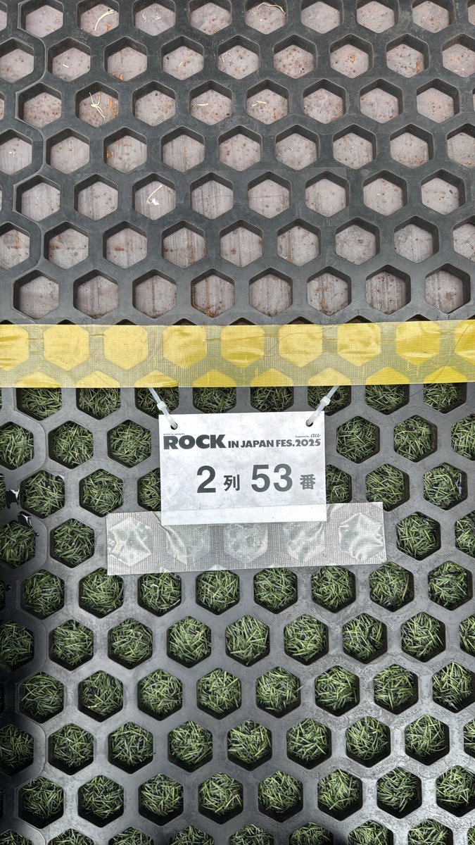 __01kn's tweet photo. 最高だった前方2列目😭✨

#ROCKINJAPANFESTIVAL2025 
#sumika https://t.co/KZ5TQx6brM