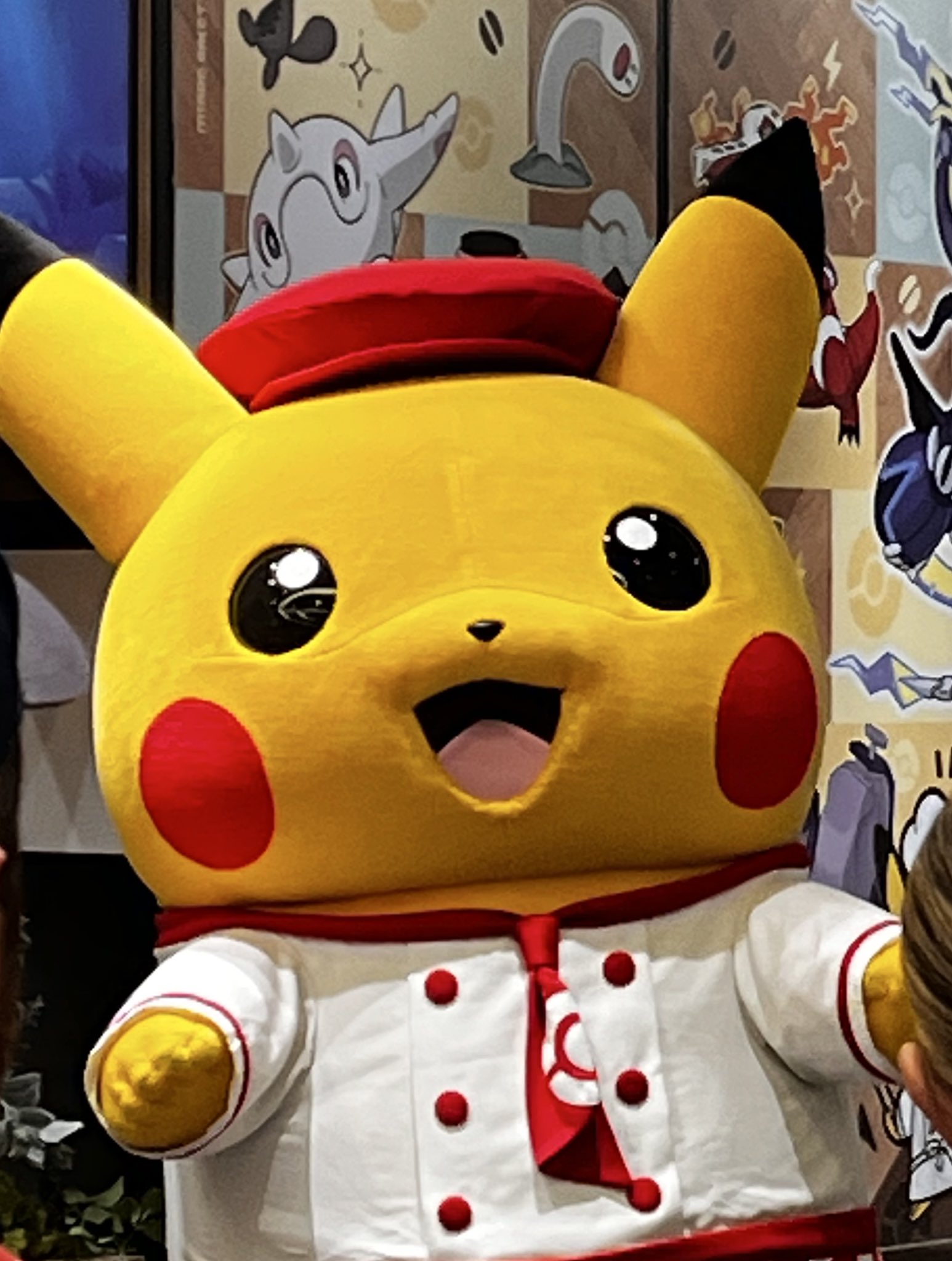 チコリータ！プロフ必読！ ちこりぃ (@chicochico152) / X