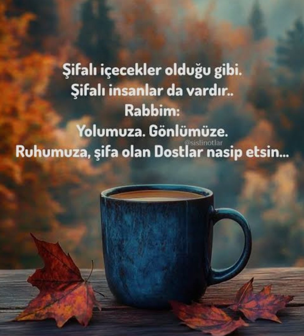 muhyettin_avci_'s tweet image. #şifa #dost