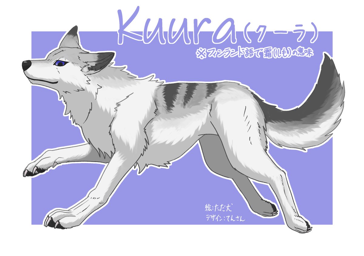 新しく迎えた子命名しました！
クーラくんです(多分雄)！！
詳細は後程考えますかわいい！
てんさん(<a href="/Wolf_okami_T/">てん</a>)から頂いたキャラデザの子です。