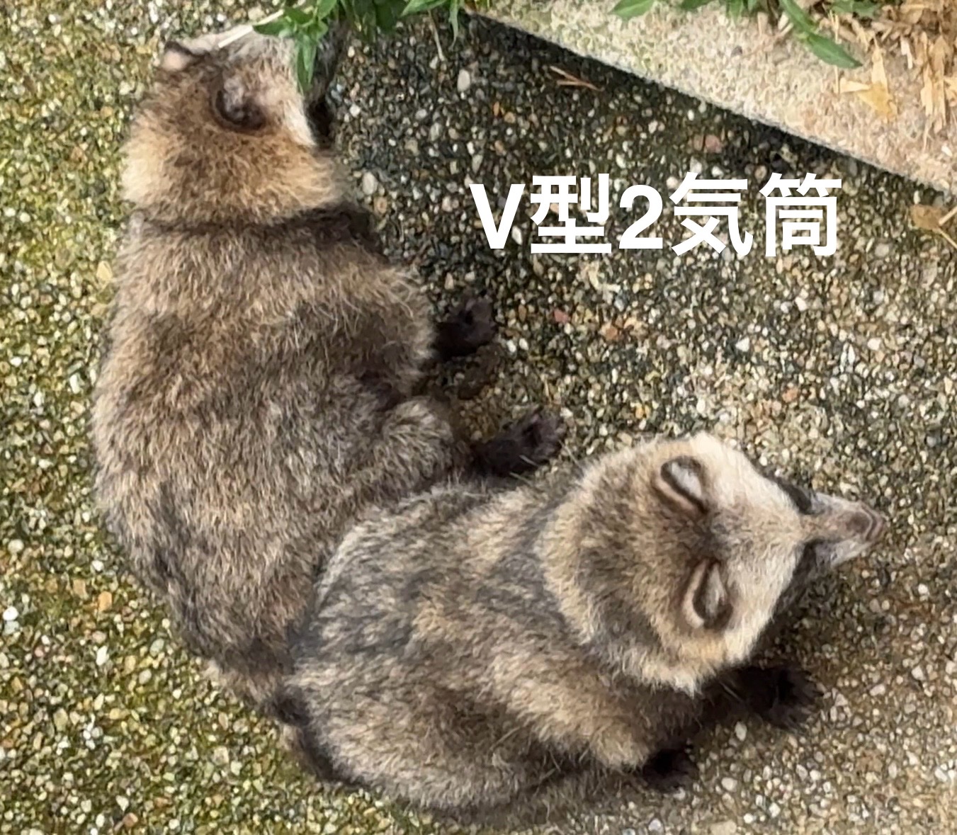 確認用❁¨̮焼き上がりました♡ 鬼滅の刃 とじコレ 待合茶屋 缶バッジ - 株式会社ツインクル